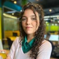 Ana Flavia Rocha