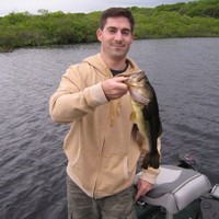 Greg Toomey