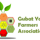 Gubat Young Farmers Association