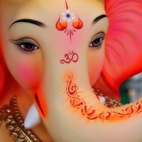 Shivanee Patange