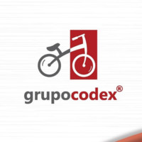 Grupo Codex