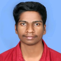 Vijesh A V
