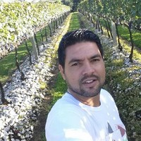 Everson Araujo