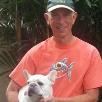 Stuart M Auerbach,  DDS