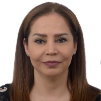 Mojdeh(Mona) Ghadrdoust Nakhchi