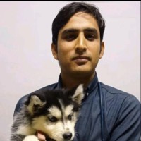 Dr.Pardeep Kumar