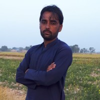 N Tanha Mengal