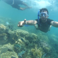 Dimas Surya Mahendra