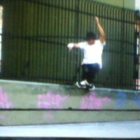 jorge adhesivo roller