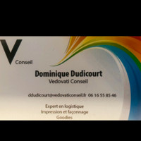 Dominique Dudicourt