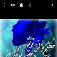 احم الفصري