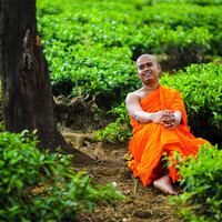 Bibiladeniye Mahanama Thero