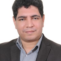 diaa ahmed