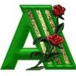 md amjad