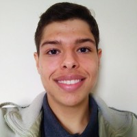 Wendel Henrique Bispo De Jesus
