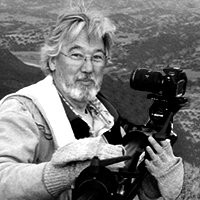 W. Scott Miles