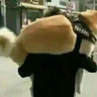 杨耿权