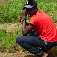 MOUSSA GOUDIABY