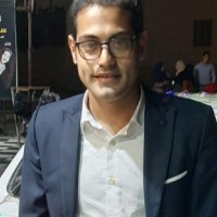 Ahmed Shawki