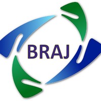 BRAJ Information Technology