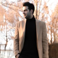 mohammad safaee