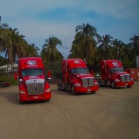 Transportes Mooring sa de cv C