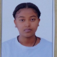 Tsion Fekadu