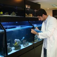 Pedro Henrique Magalhães Cardoso