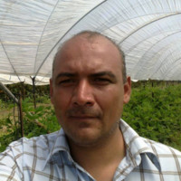 Guillermo De Valle Tovar