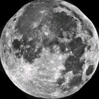 Hamza El Omari