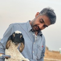 Ashok Meena