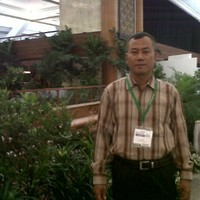 widodo gito