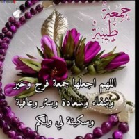 Afzal Ali