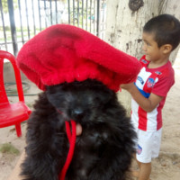 Fabián Castrillo