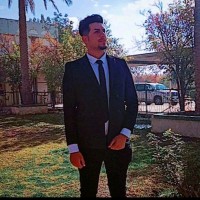 محمد عبدالحي