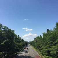 Mitsu S