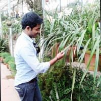 Bijjam Srinivasa