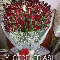 Mohammadisrahil Walizada