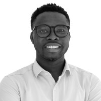 Daniel O. Ogundipe