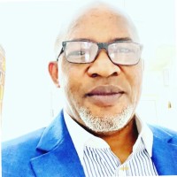 Temitayo James-Ogunmodimu FCCA, ACA, BSc Applied Accounting