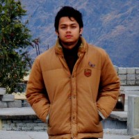 Mayank Dimri