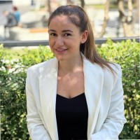 Nour El Arab
