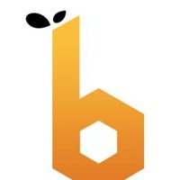Bee Interactive