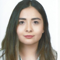 Isabella Llamas