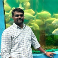 Sumith R K