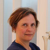 Heidi Lindbäck