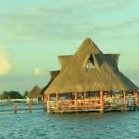 jhon pierre alonso guzma