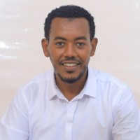 Amir Kemal