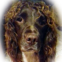 Debra Wormald