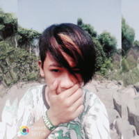 Stel Boross